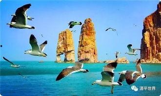 爱情岛国产,探寻异域风情的爱情秘境